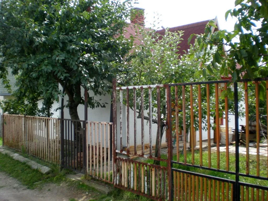 Szőlőhegy Fotók