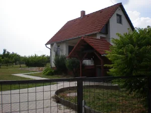 Szőlőhegy Fotók