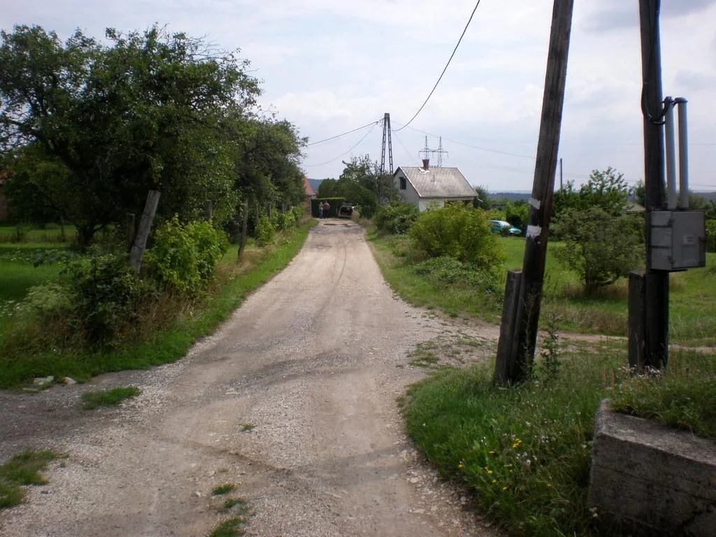 Szőlőhegy Fotók