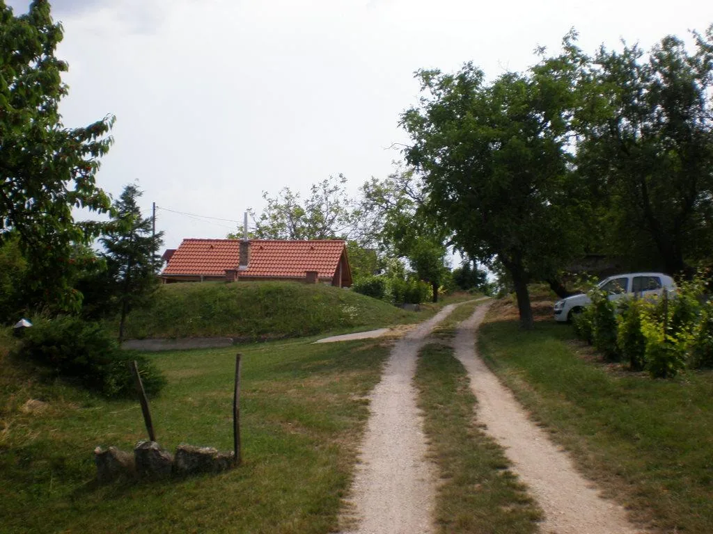 Szőlőhegy Fotók