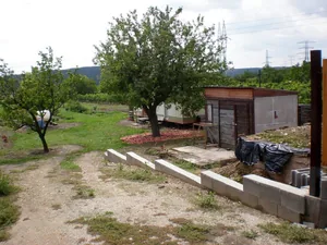 Szőlőhegy Fotók