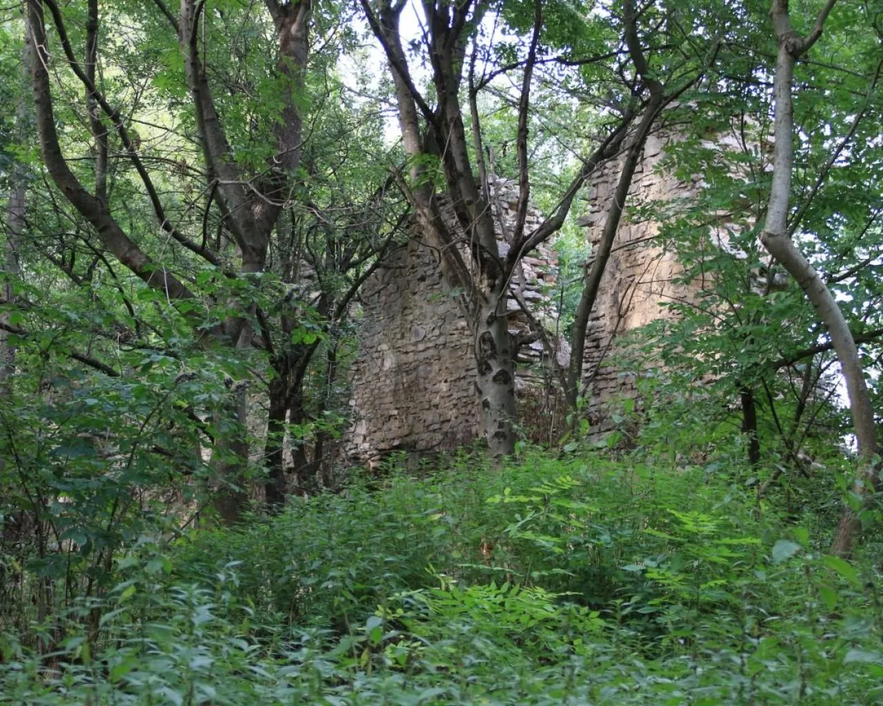 Galéria
