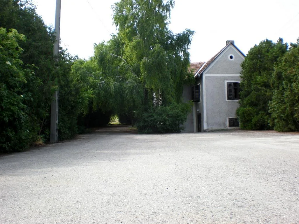 Szőlőhegy Fotók