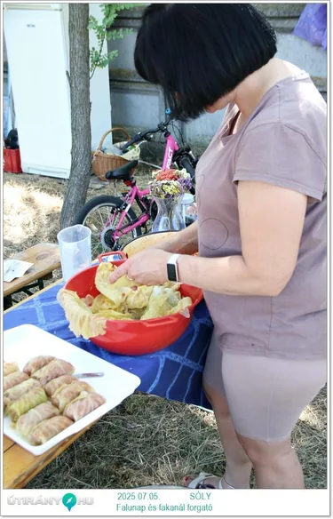 Sólyi falunap & fakanál forgató