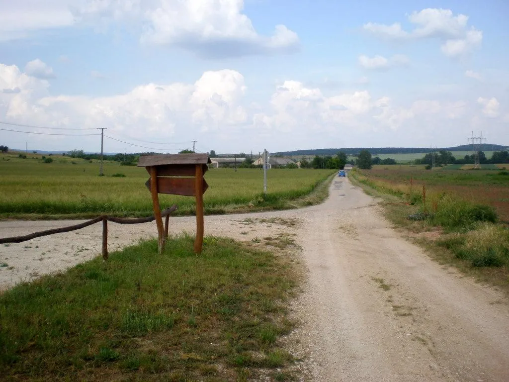 Szőlőhegy Fotók