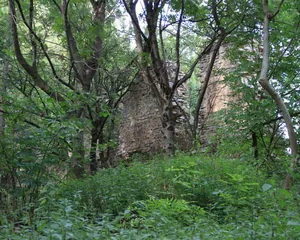 Galéria
