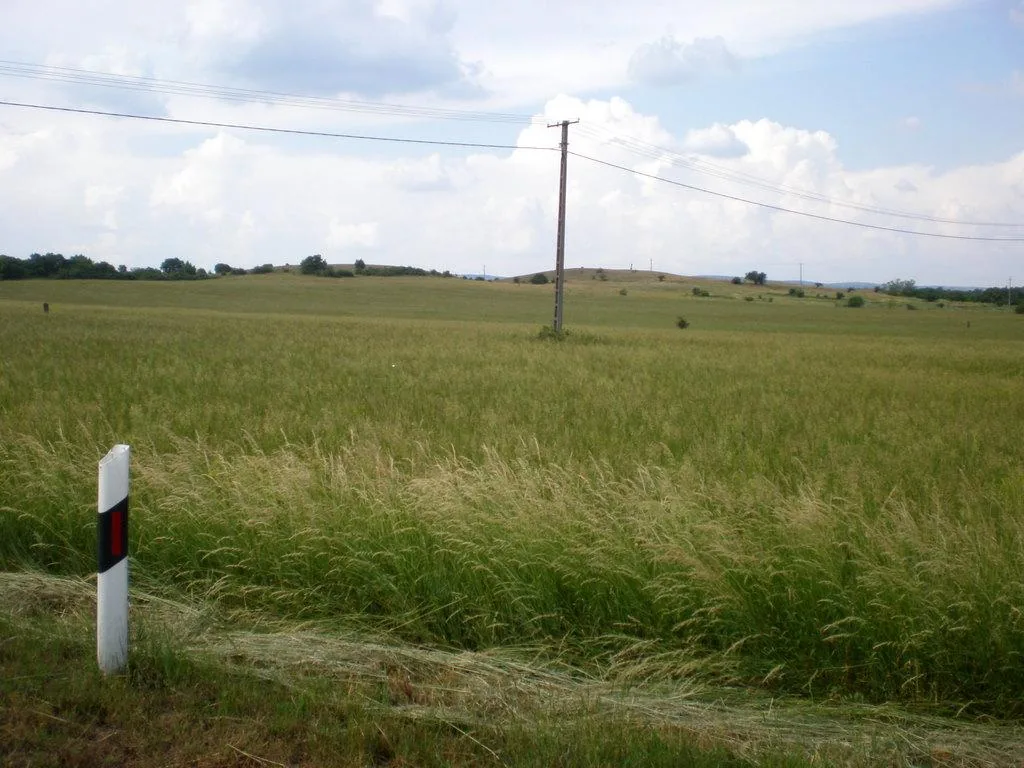 Szőlőhegy Fotók