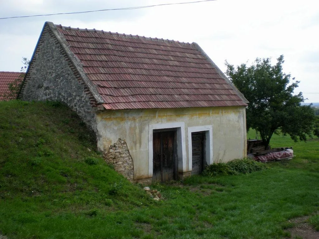 Szőlőhegy Fotók