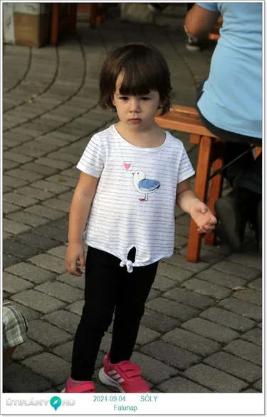 VII. Sólyi Falunap