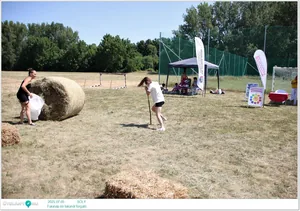 Délelőtt