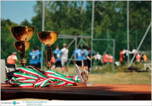'VI. Gőbölös Gyula emléktorna' cikk borítóképe