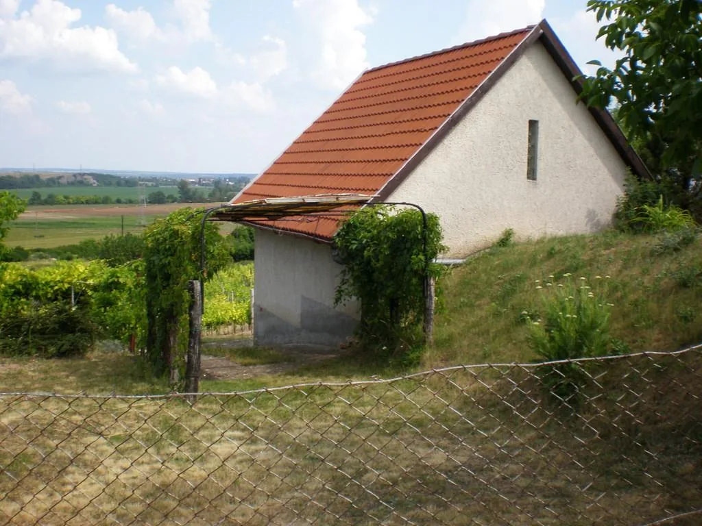 Szőlőhegy Fotók
