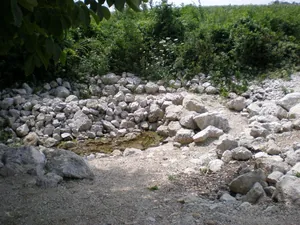 Szőlőhegy Fotók