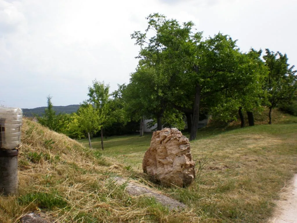 Szőlőhegy Fotók
