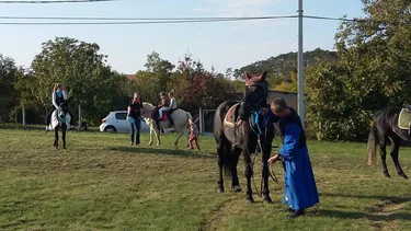 Sólyi Szüreti felvonulás