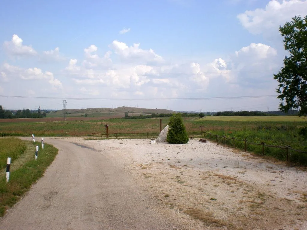 Szőlőhegy Fotók