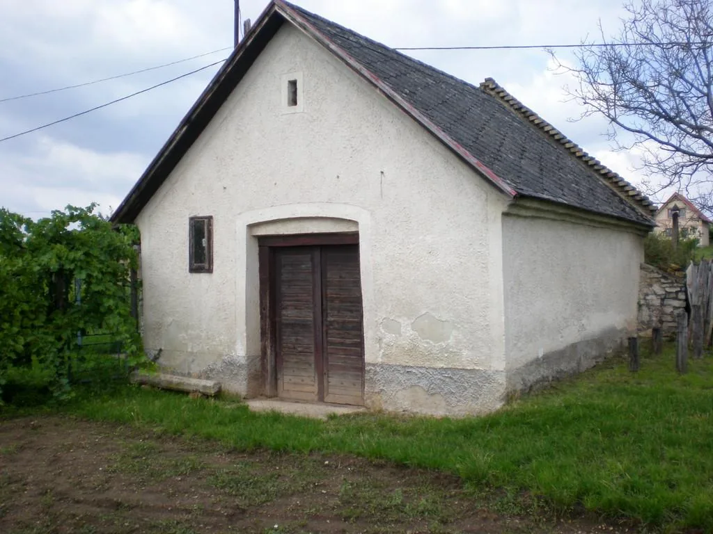 Szőlőhegy Fotók