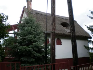 Szőlőhegy Fotók