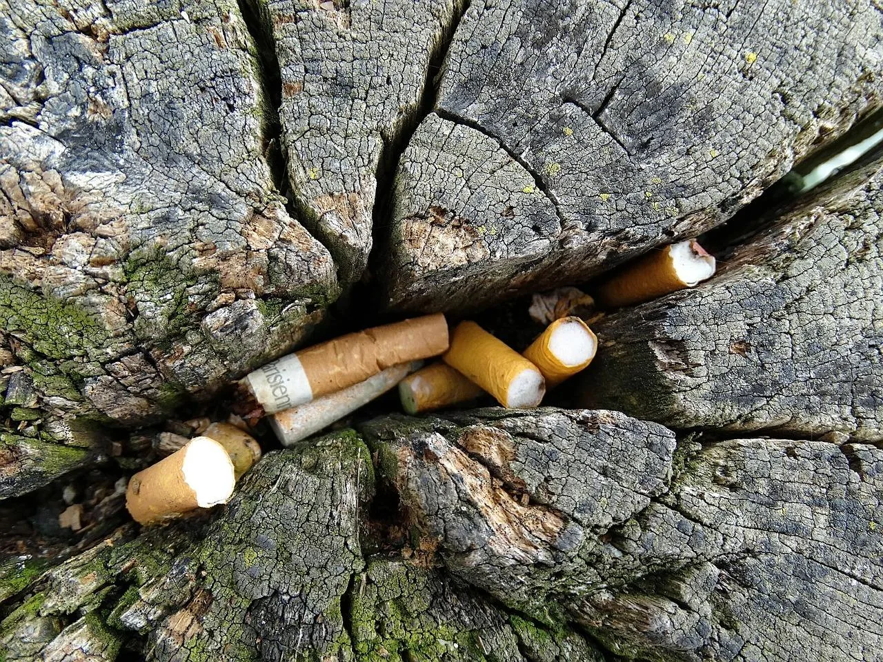 Elszomorító