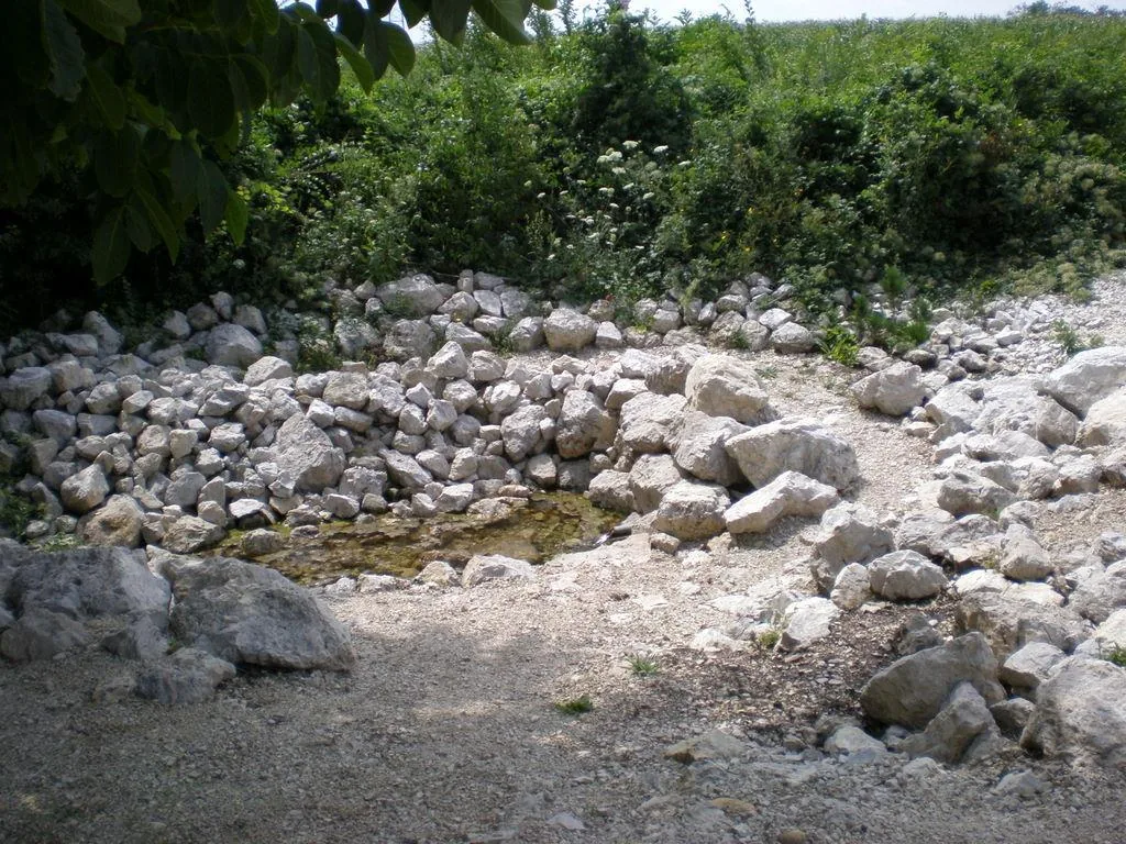 Szőlőhegy Fotók