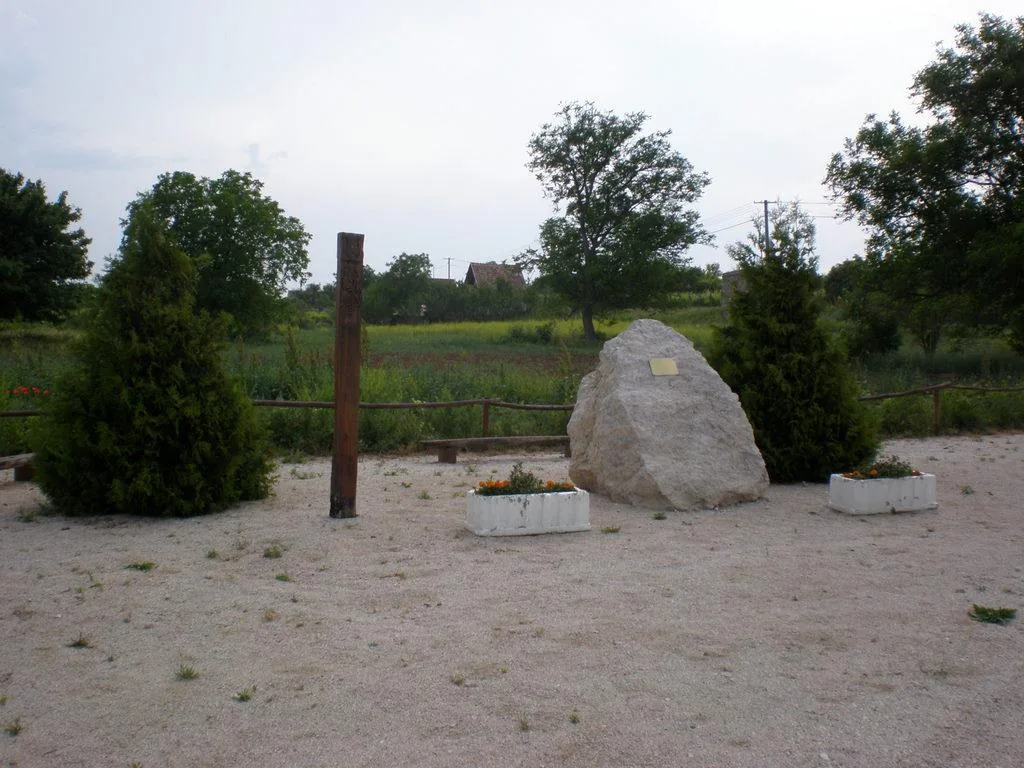 Szőlőhegy Fotók