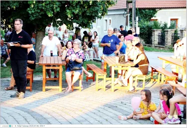 X. Sólyi Falunap