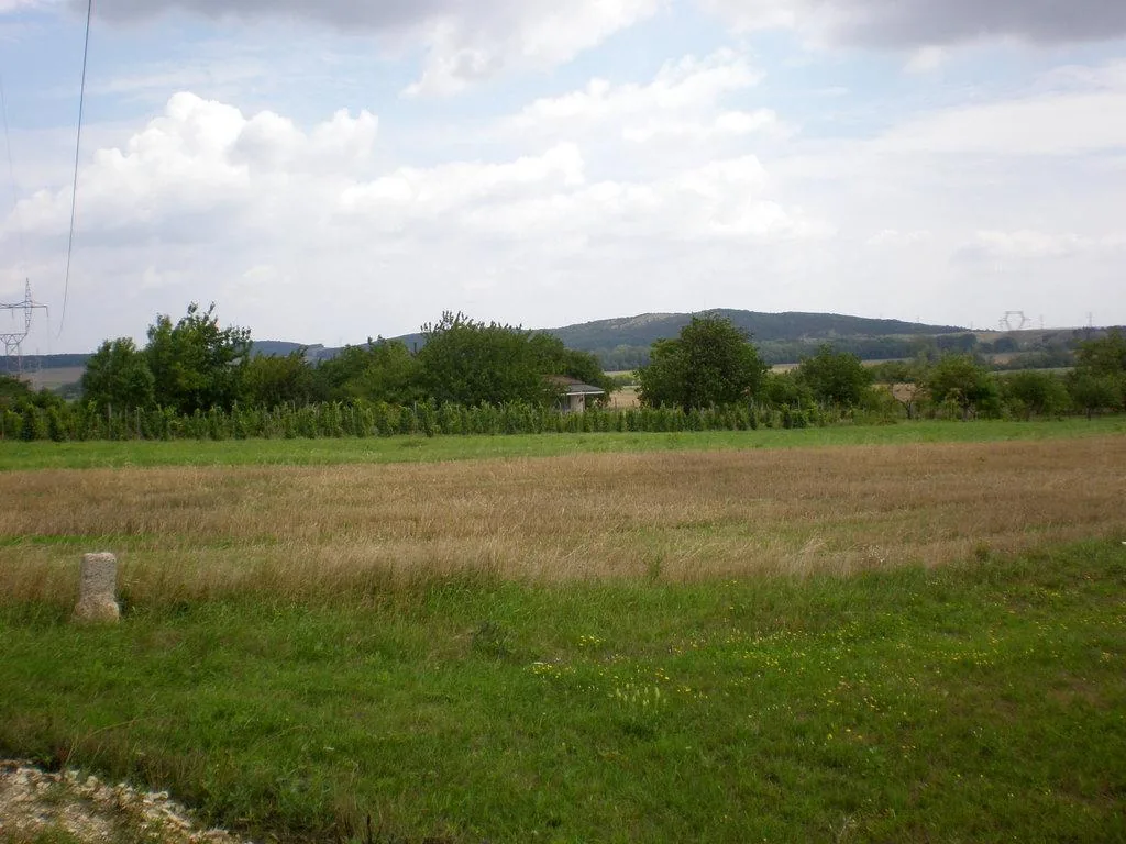 Szőlőhegy Fotók