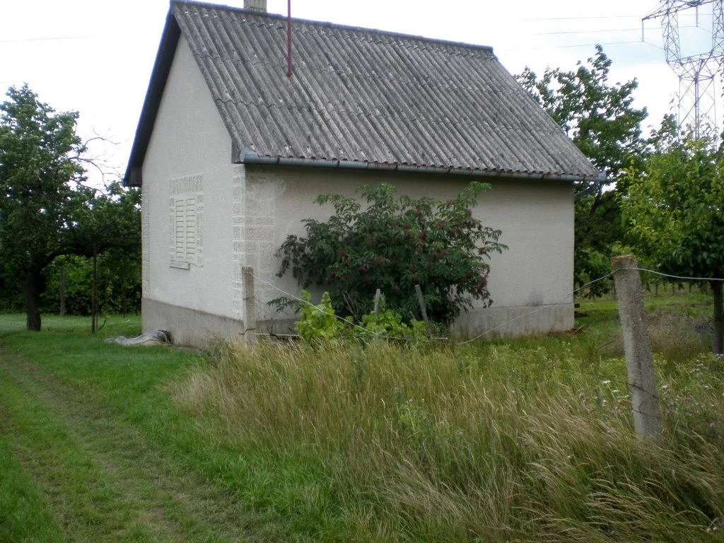 Szőlőhegy Fotók