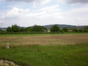 Szőlőhegy Fotók