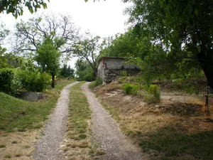 Szőlőhegy Fotók