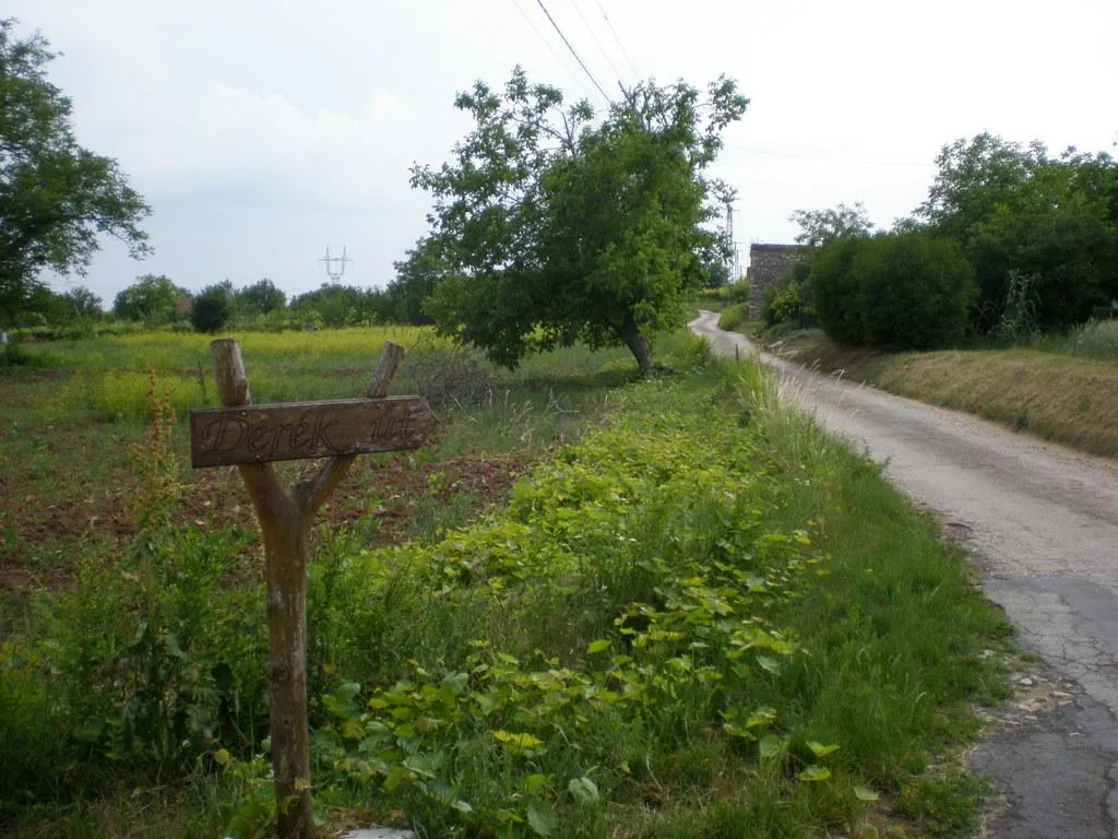 Szőlőhegy Fotók