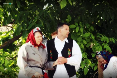 V. Sólyi Falunap
