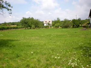 Szőlőhegy Fotók