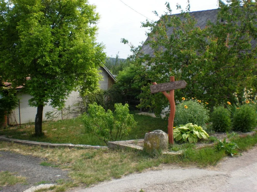 Szőlőhegy Fotók