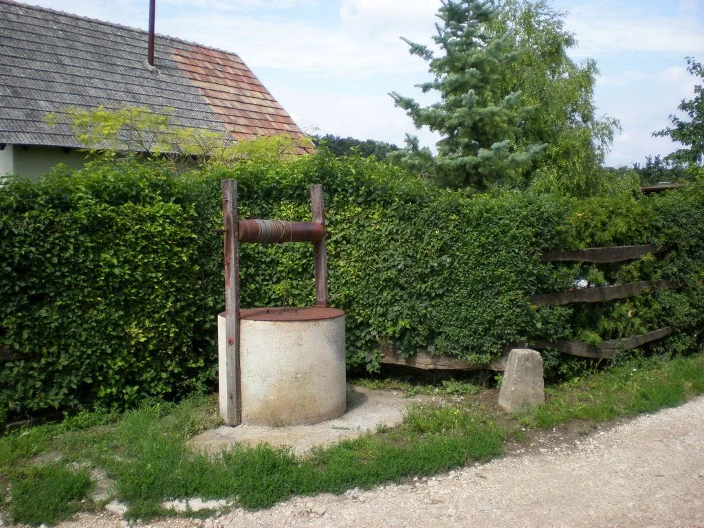 Szőlőhegy Fotók