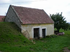 Szőlőhegy Fotók
