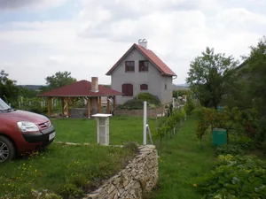 Szőlőhegy Fotók