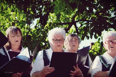 IV. Sólyi Falunap 
