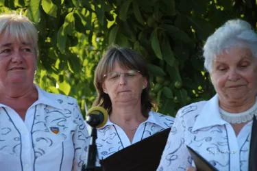 III. Sólyi Falunap 2017