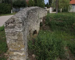 Sóly