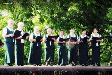 V. Sólyi Falunap