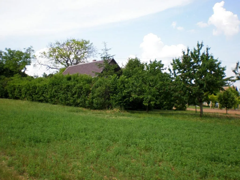 Szőlőhegy Fotók