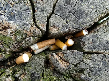Elszomorító
