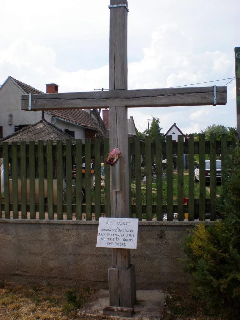 Szőlőhegy Fotók