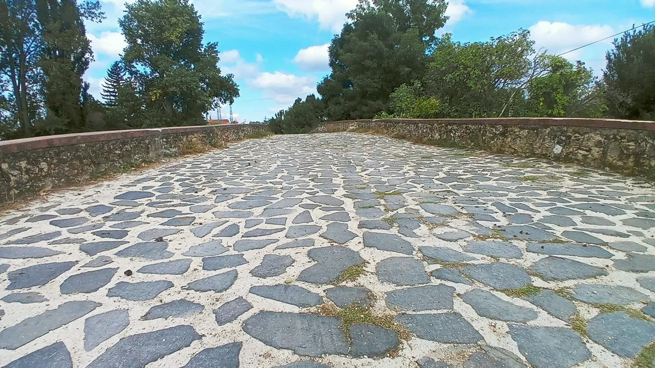 Képek 2021