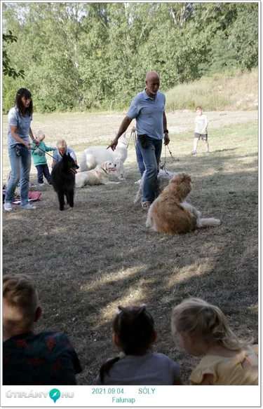 VII. Sólyi Falunap