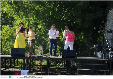 VI. Sólyi Falunap