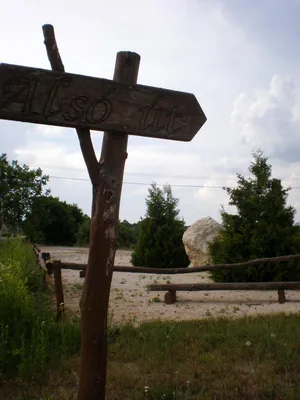 Szőlőhegy Fotók