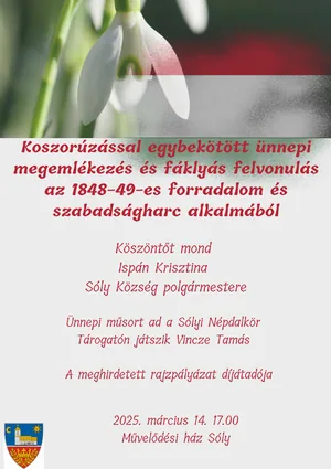 Plakát