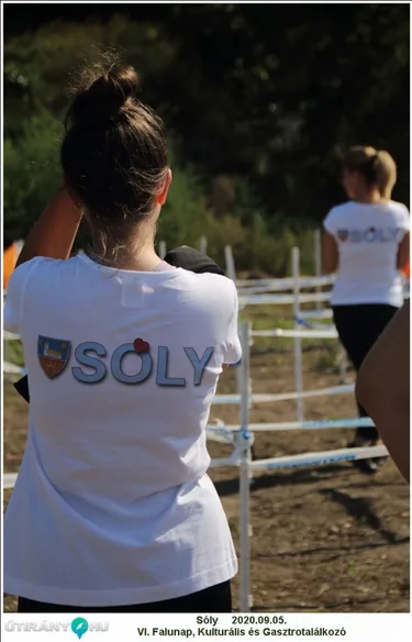 VI. Sólyi Falunap